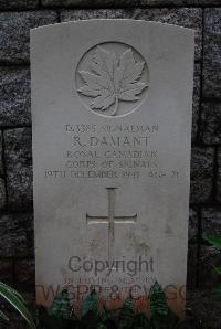 Stanley Military Cemetery - Damant, Robert